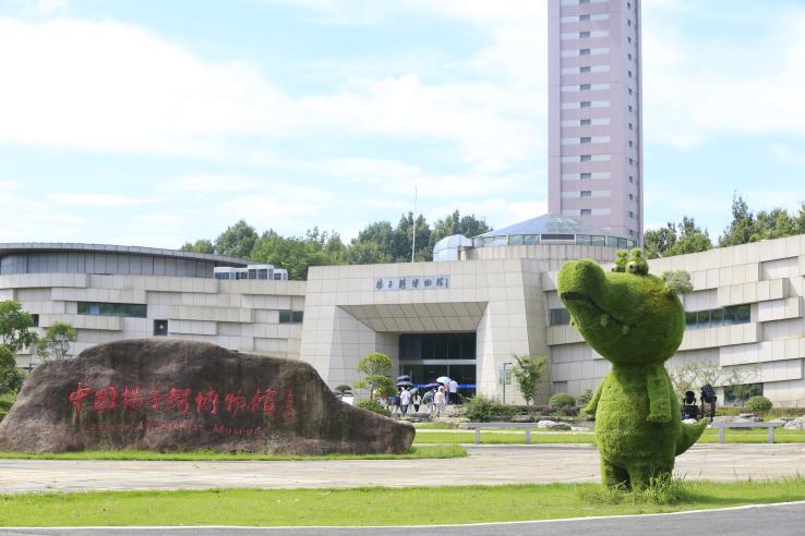 国产a片